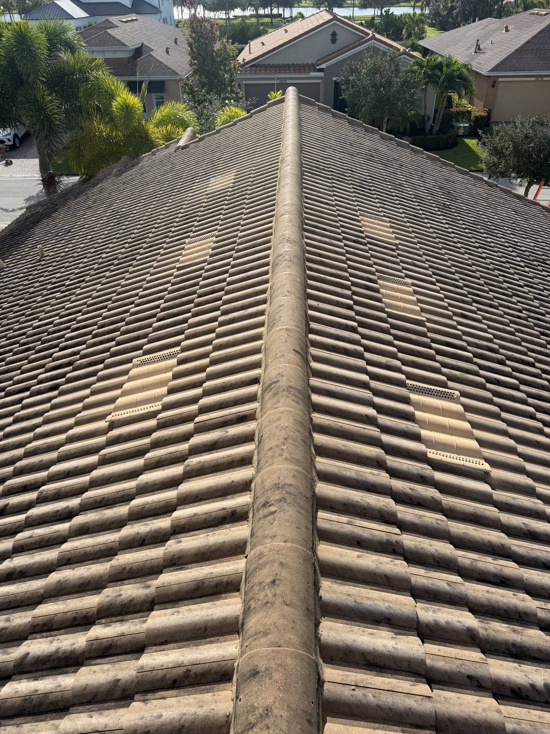 Tile roof before soft washing — black algae streaks